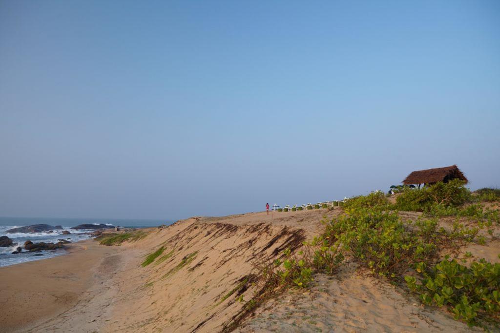 Jetwing Yala Hotel Ngoại thất bức ảnh